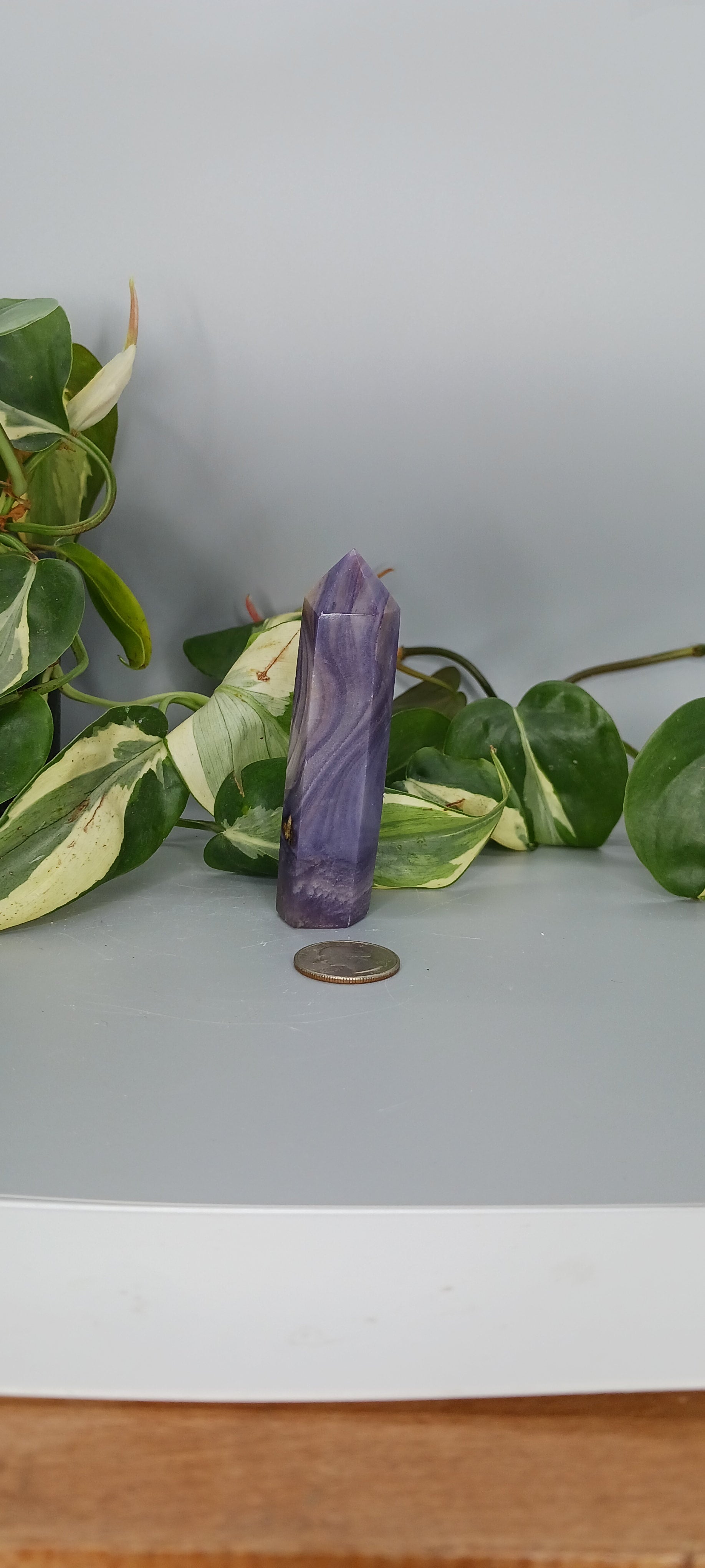 Silky 2024 Fluorite Tower #1